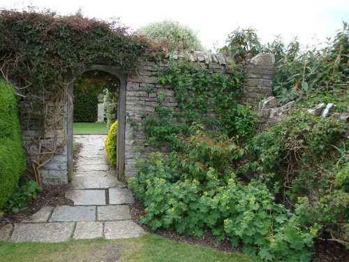 Lytes Cary Manor, June 2009