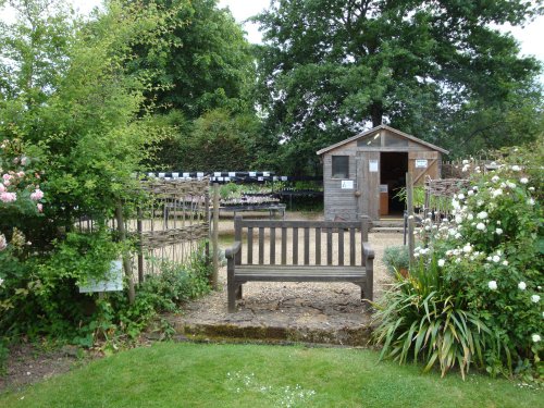 East Lambrook Manor, June 2009