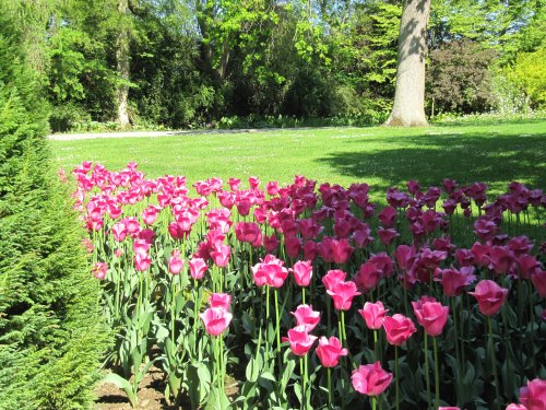 Constable Burton Hall Gardens
