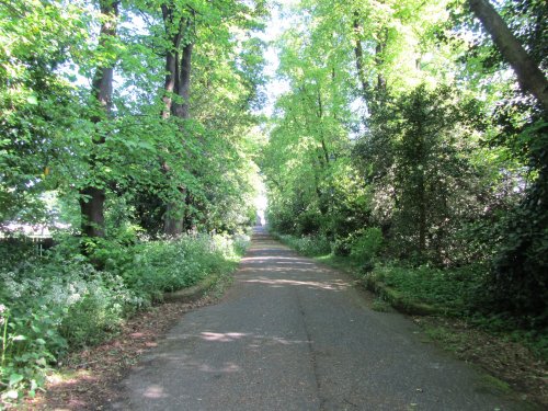 Country Lane