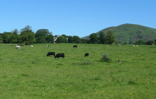 Upper Largo Fields