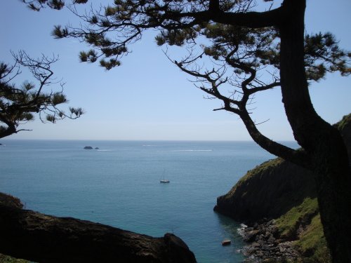 Coleton Fishacre, June 2009