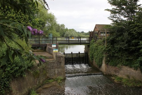 Warnham Nature Reserve - the Sluice gate