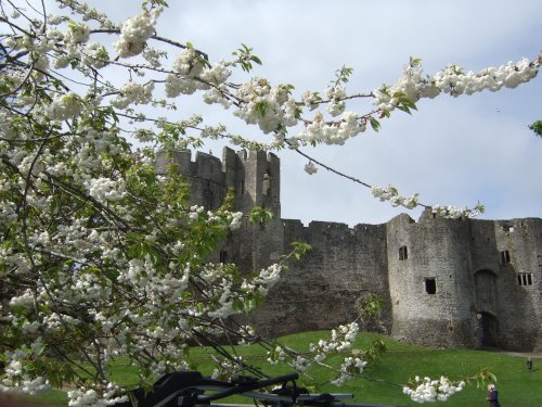 Chepstow Castle