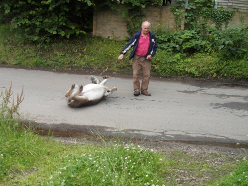 Itchy Back !! oh oh Itchy Back !!