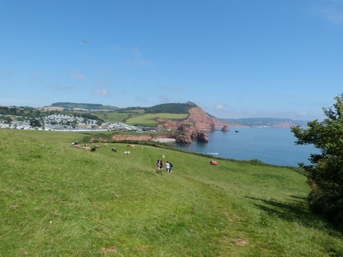 Ladram Bay