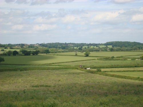 Surrounding landscape from Ambion Hill
