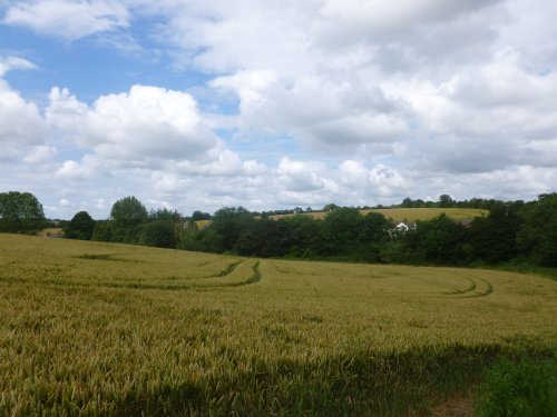 Countryside behind Church at Long Melford, Suffolk
