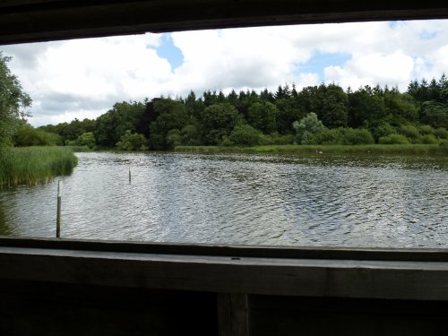 Heron Hide - Warnham Nature Reserve.