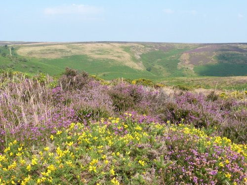 Quantock Hills