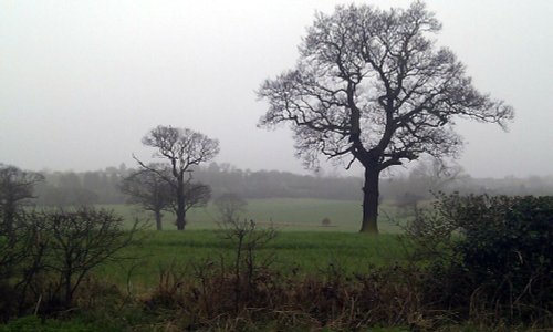 Vicarage Road, Chigwell