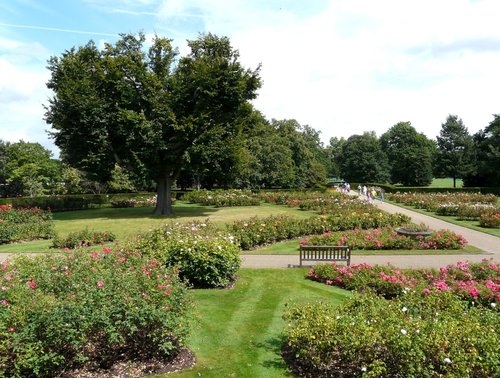 The Rose Garden, Greenwich Park