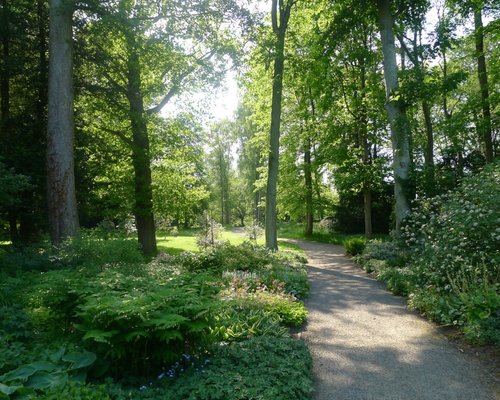 Tree Trail, Thorp Perrow Arboretum
