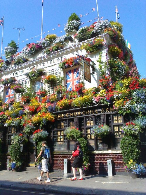 Profusion of window box flowers outside a London pub