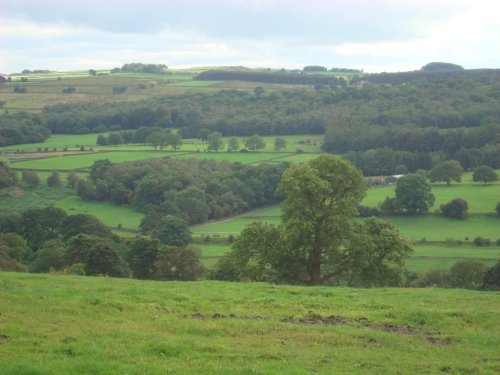 Nidderdale