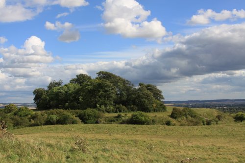 Castle Hill, Wittenham Clumps