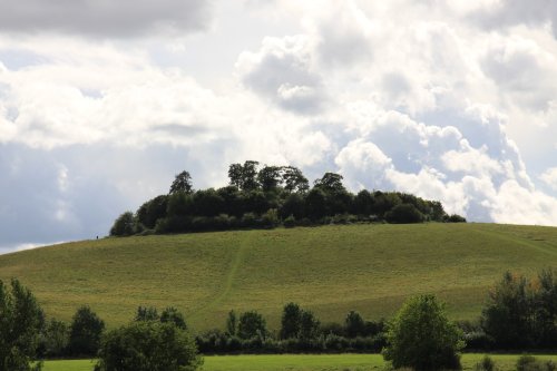 Round Hill, Wittenham Clumps