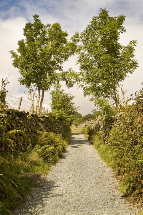 Track to High Sweden Bridge