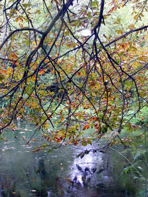 Bourne Hall Park, Ewell