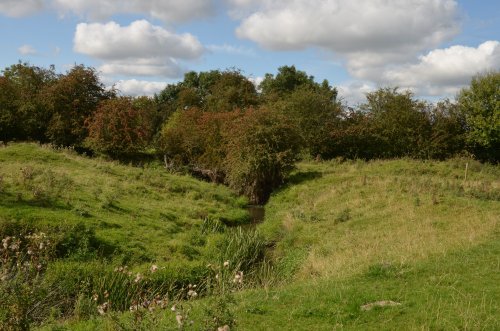 Gaddesby Brook, near Twyford