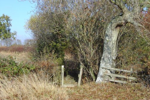 Countryside walk to Hampton Gay, Oxfordshire