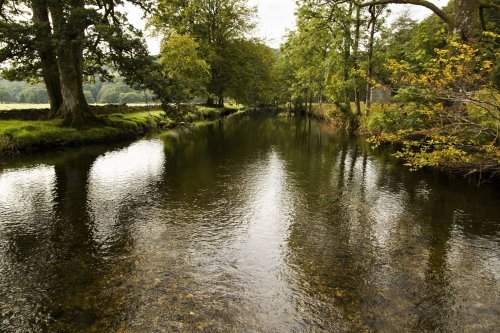 River Rothay looking south