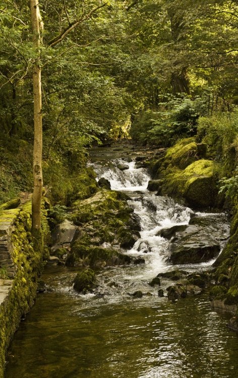 Stock Ghyl, Ambleside