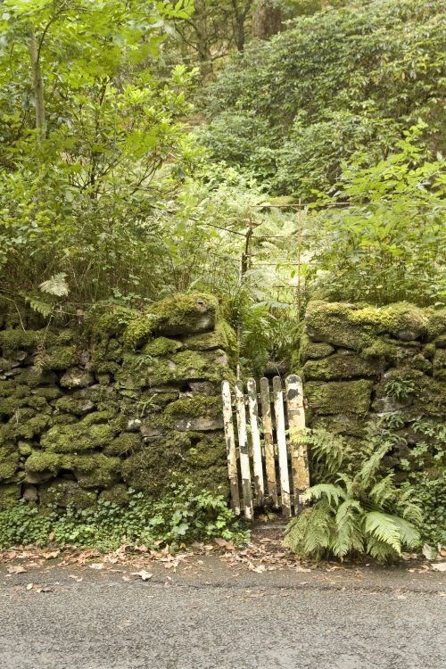 Old gate Grasmere