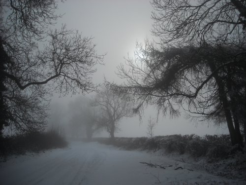 Newnham Hill Winter