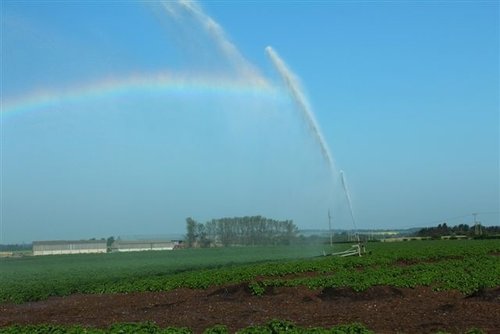 Watering, Pattingham
