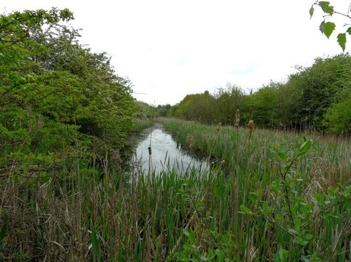 Remnants of the Dearne and Dove Canal