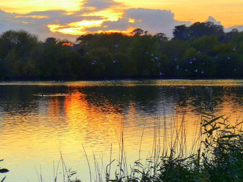 Sunset over the lake at Watermead Country Park