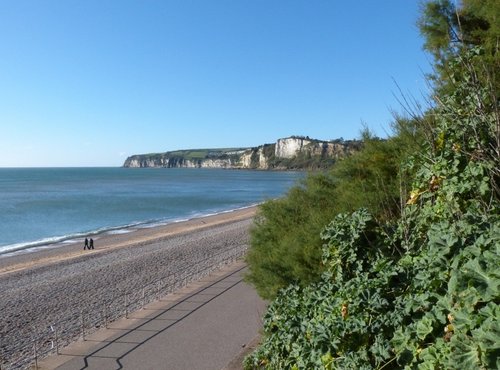 Seaton