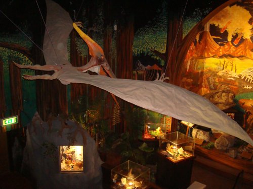 Treasures of the Earth, a 20ft wingspan Pteranodon