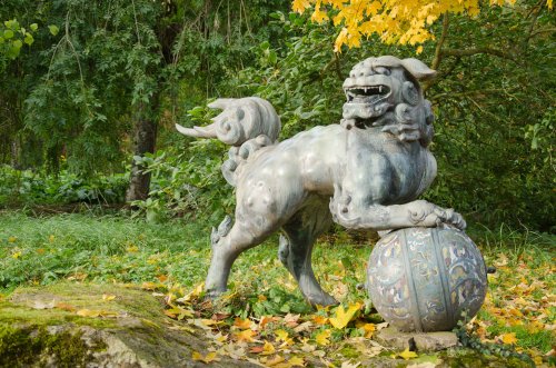 The Foo Dog in the Japanese Garden at Batsford