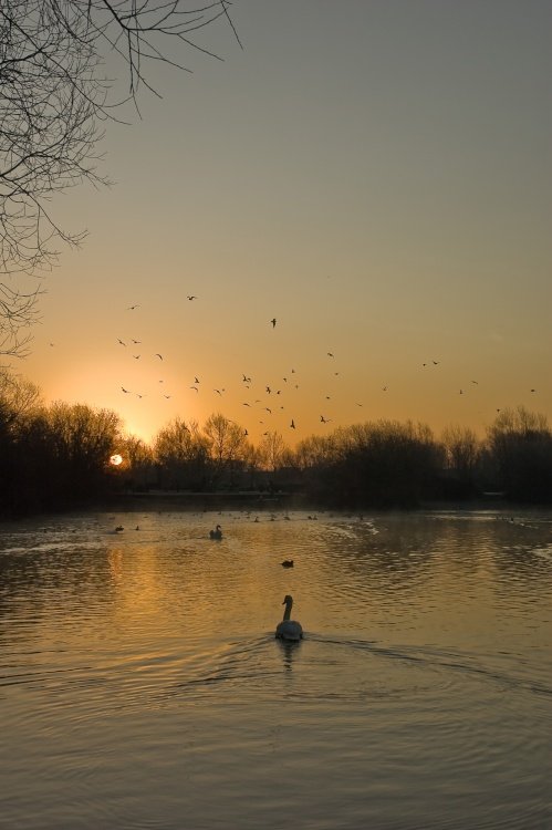 Sunrise at Branston
