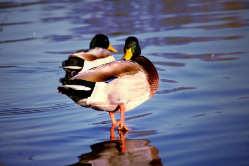 Kingsbury Water Park