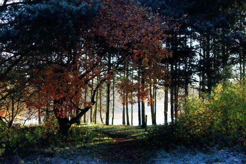 Kingsbury Water Park