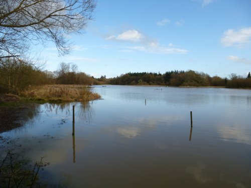 The Lull Before The Storm.