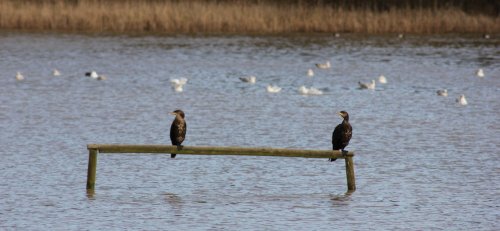 HEY !!!! What's Going On Over There Then ?