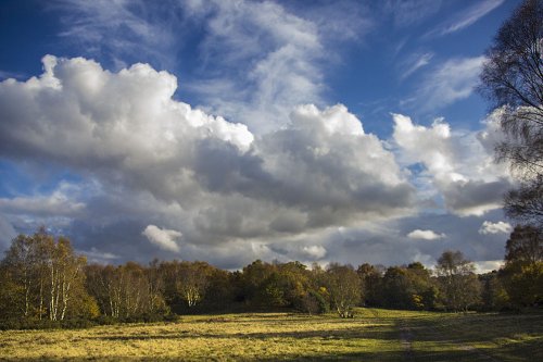 Autumn Afternoon in Sutton Park