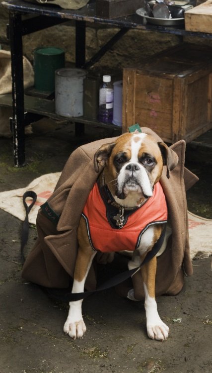 North Yorkshire Moors Railway war weekend 21