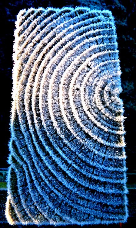 A touch of frost in watermead park Birstall