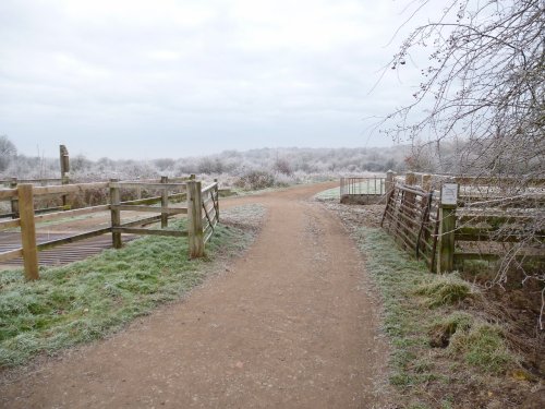 Bookham Common - in frosty mode.