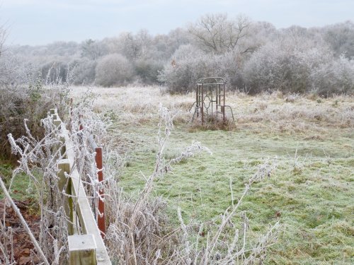 The Scene of the Common in the Cold.