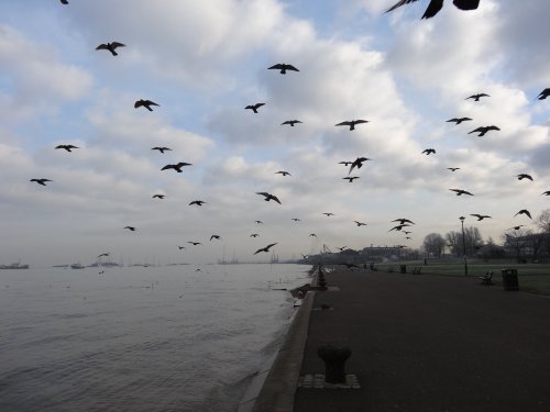 The 'Birds' at Gravesend's Promenade.