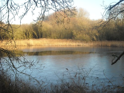 Boddington Reservoir in Northamptonshire