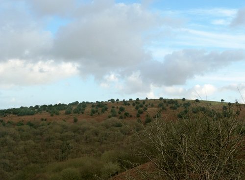 Quantock Hills