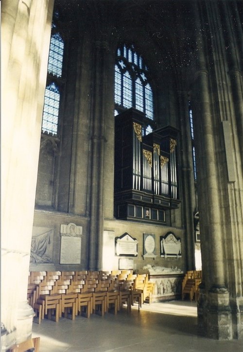 The main organ
