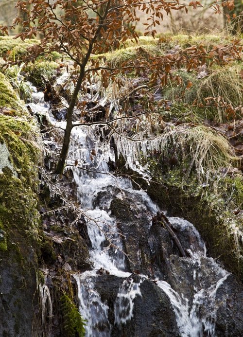 Tom Gill 3....Icicles